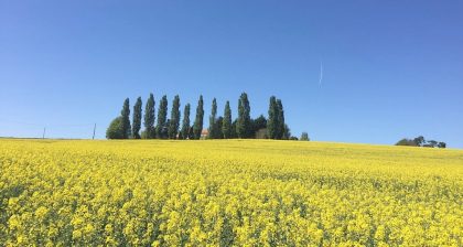 Maison de La Vaure - a Bordeaux chateau for your summer holiday. 3 Maison de la Vaure chateau rental near Bordeaux with heated outdoor pool