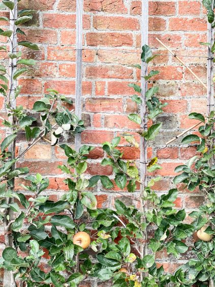 The Newt in Somerset review by boutique hotel blogger Stephanie Bonnet. The Newt spa and the Newt restaurant are covered.