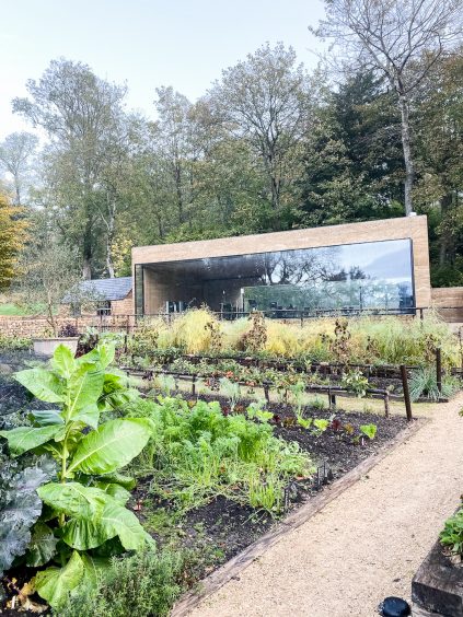 The Newt in Somerset review by boutique hotel blogger Stephanie Bonnet. The Newt spa and the Newt restaurant are covered.